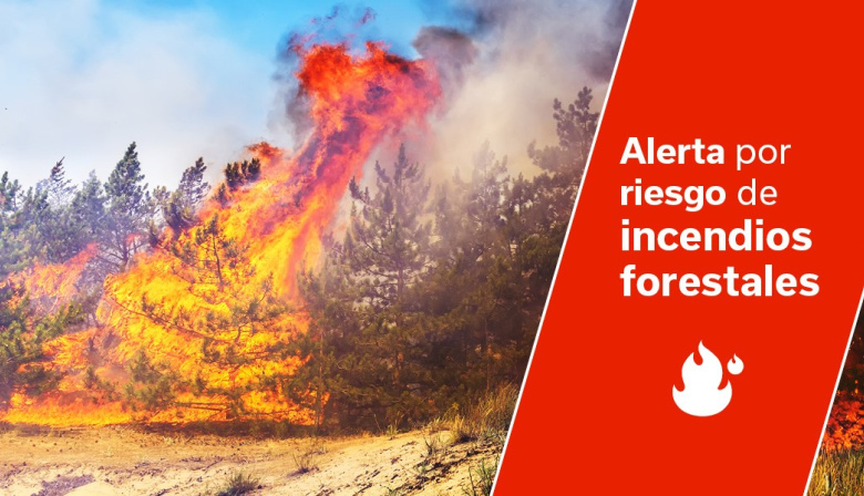El Gobierno actualiza la situación de alerta por riesgo de incendios forestales a toda Canarias