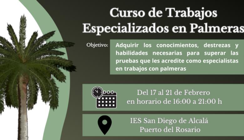 El Cabildo de Fuerteventura ofrece un curso especializado en poda de palmeras