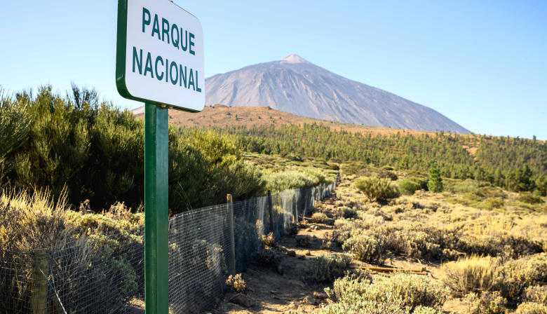 El Cabildo de Tenerife valora la suspensión de la manifestación en el corazón del Parque Nacional del Teide