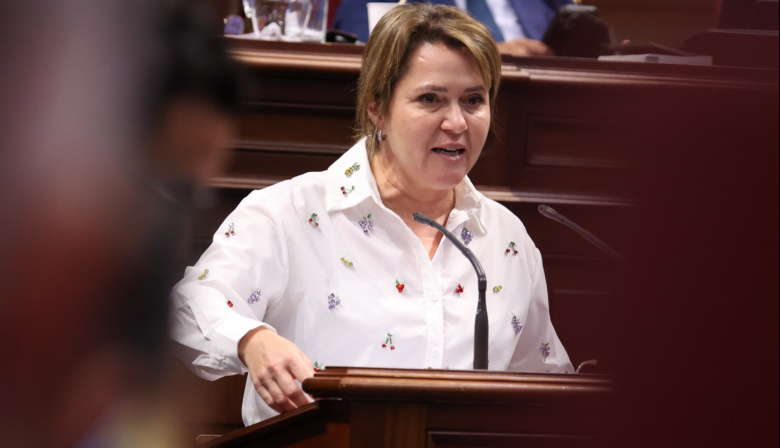 El PSOE exige la comparecencia del consejero de Transición Ecológica para explicar la gestión en el cero energético de La Palma y reclama una “respuesta eficaz” a los apagones