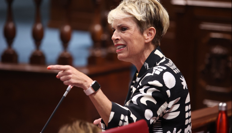 El PSOE exige la dimisión de la consejera de Bienestar Social por los errores en dependencia