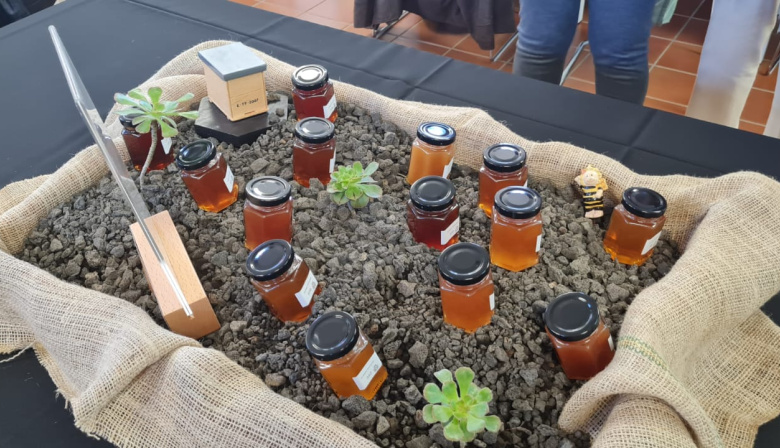 El Cabildo colabora con APITEN en la organización de la Feria de la Miel de Tenerife