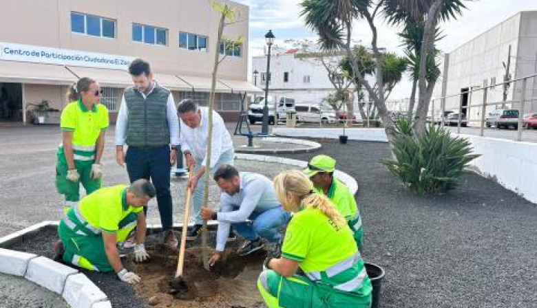 El Ayuntamiento de Arrecife licita la nueva red de riego para triplicar los árboles y zonas verdes en todo el municipio