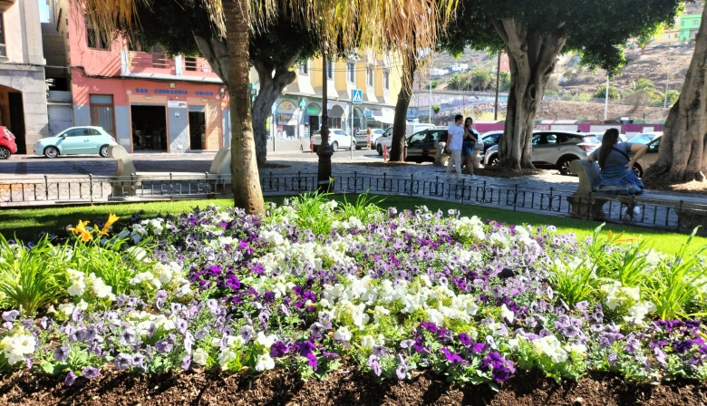 Servicios Municipales viste de flores la ciudad para celebrar las Fiestas del Cristo y dar la bienvenida al otoño