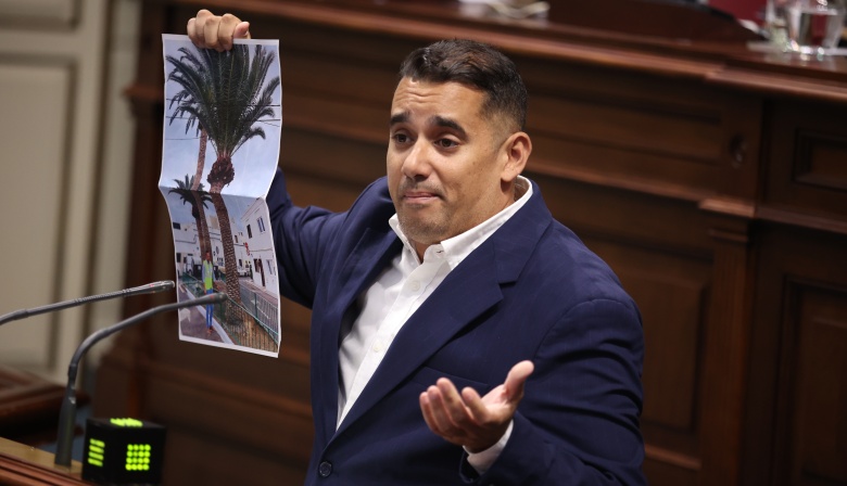 Yoné Caraballo defiende en el Parlamento que se debe garantizar la libertad de los arrecifeños a tener una ciudad más verde y saludable