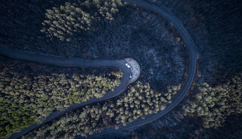 El Cabildo de Tenerife estima que los daños por el incendio forestal ascienden a 80,4 millones de euros