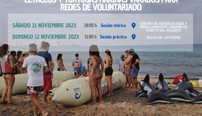 El Cabildo de Fuerteventura pone en marcha una formación para asistir a la fauna marina accidentada