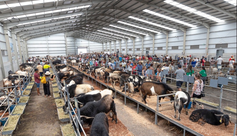 La 38ª Edición de la Feria de Agricultura, Ganadería y Pesca de Fuerteventura (FEAGA) se celebrará del 3 al 6 de abril de 2025