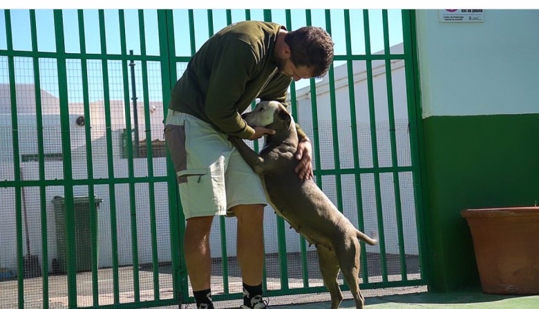 El Centro de Bienestar Animal de Arrecife albergó a 136 gatos y 102 perros durante 2023