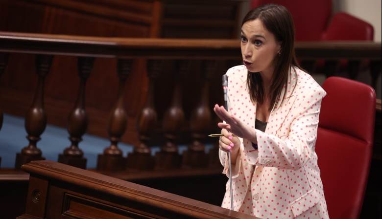 Nira Fierro le pregunta a Manuel Domínguez sobre el Pacto por la Inmigración: “¿Cuándo dejamos de hablar de menores para hablar del Ejército?”