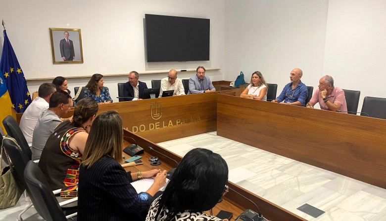Jóvenes y desempleados de larga duración, principales beneficiarios del Plan Integral de Empleo de Canarias
