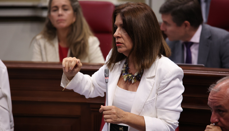 Carmen Hernández defiende la protección del profesorado interino canario en el Parlamento
