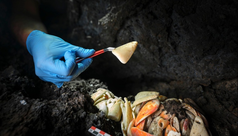 Hallados más de doscientos colgantes de conchas con casi un milenio de antigüedad en Villa de Mazo