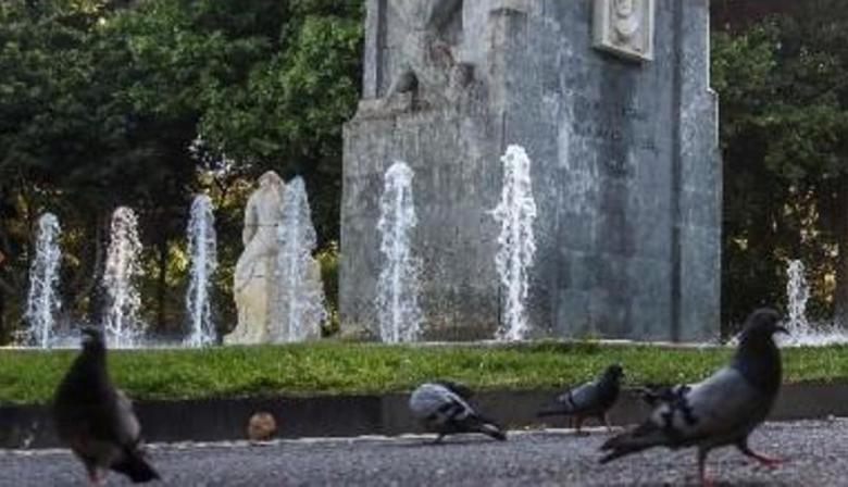 Santa Cruz vuelve a multar con 2.250 euros a la vecina que alimenta a las palomas en la calle