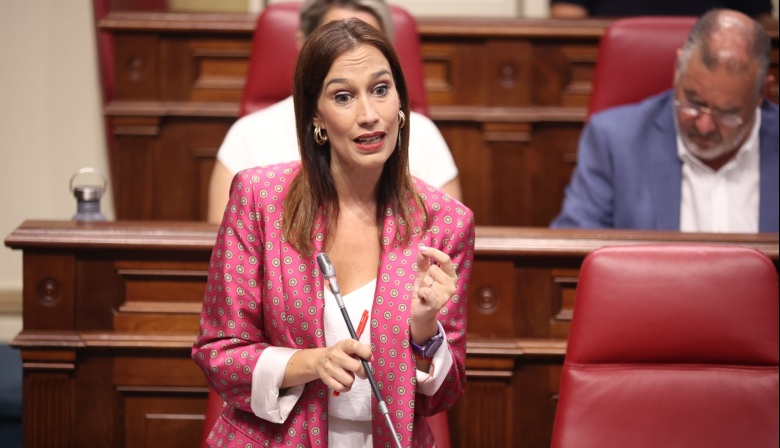 Fierro a Domínguez: “En su gestión solo hay eco, en este primer año de Gobierno no ha aplicado ni una sola medida para mejorar las condiciones de las familias canarias”