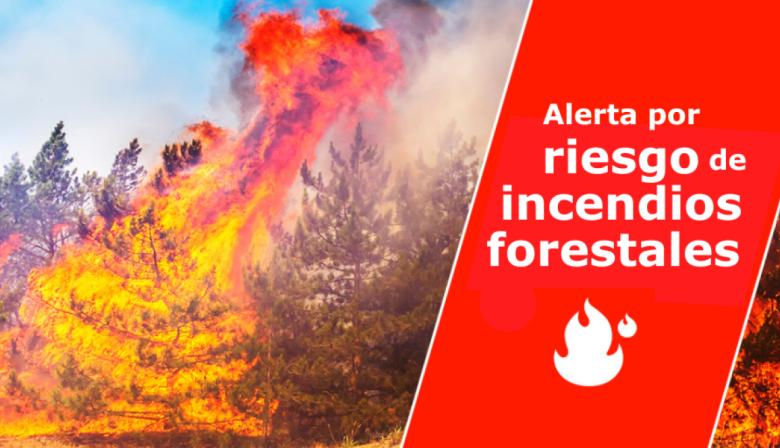 El Gobierno de Canarias declara la situación de alerta por riesgo de incendios forestales