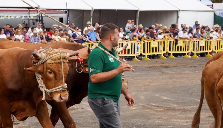 La Feria de Ganado Selecto de Gran Canaria se celebrará el 24 y 25 de mayo