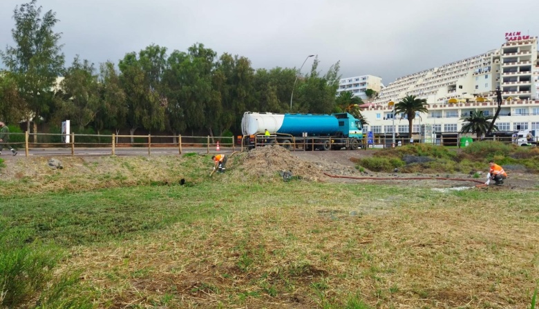 Fuerteventura inicia la prueba piloto para controlar, mediante asfixia por agua salada, la proliferación de carrizo en el Saladar de Jandía