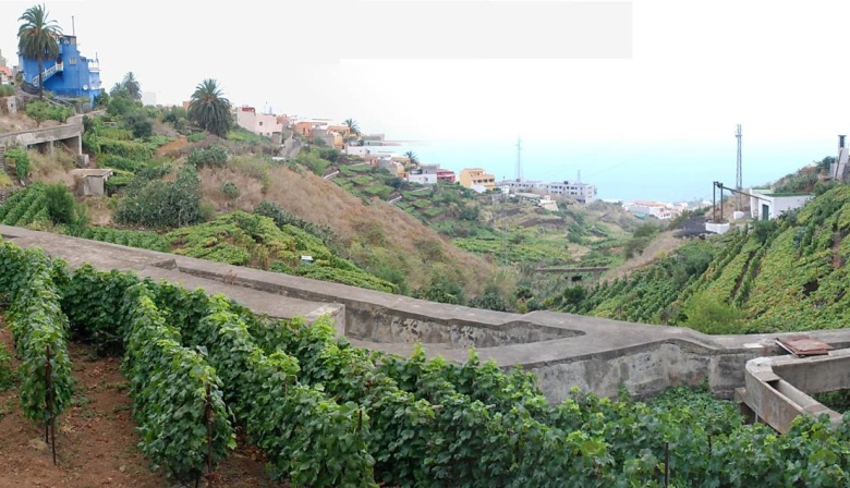 El Cabildo de Tenerife invierte 5 millones de euros en la mejora del Canal del Norte