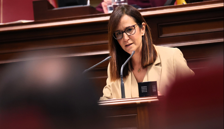 Natalia Santana acusa al Gobierno de Clavijo de desmantelar el sistema de atención a la dependencia