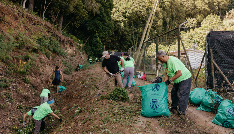 El Cabildo de Tenerife refuerza la lucha contra las especies exóticas invasoras en los espacios naturales protegidos