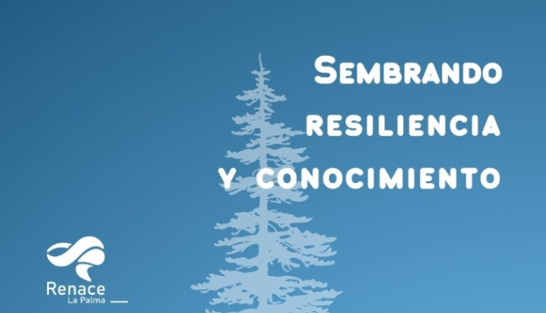 El proyecto ‘Renace La Palma’ fomenta el espíritu emprendedor entre estudiantes de la Isla