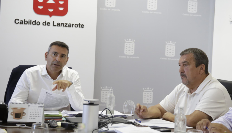 El Cabildo de Lanzarote dicta 60 denuncias por ofertas ilegales de alquiler de vehículos sin conductor