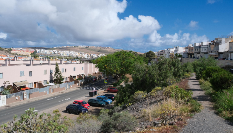 El Ayuntamiento de Las Palmas de Gran Canaria renaturalizará 20.000 metros cuadrados del barrio de Hoya Andrea a través del Corredor Verde Tamaraceite-Ciudad Alta