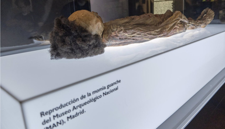 Cristina Valido invita al ministro Urtasun al MUNA para que evalúe el traslado de la momia guanche a Tenerife
