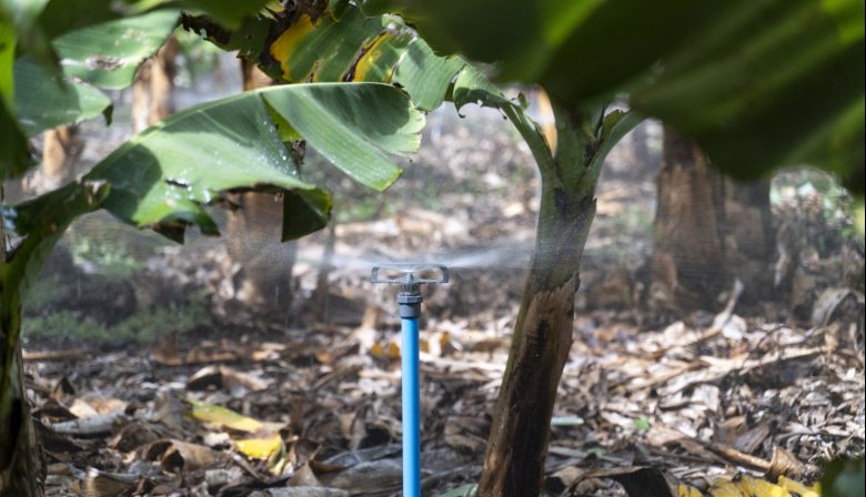 El Gobierno de Canarias y el Cabildo de Tenerife organizan una jornada de gestión de agua de riego