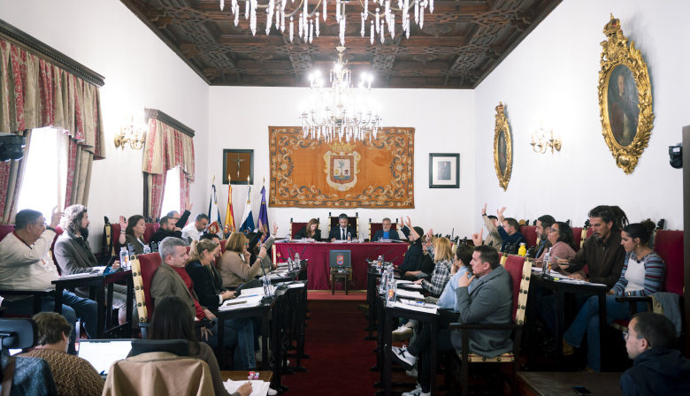 El grupo de Gobierno presenta una moción para mejorar e instalar pasarelas peatonales de La Laguna