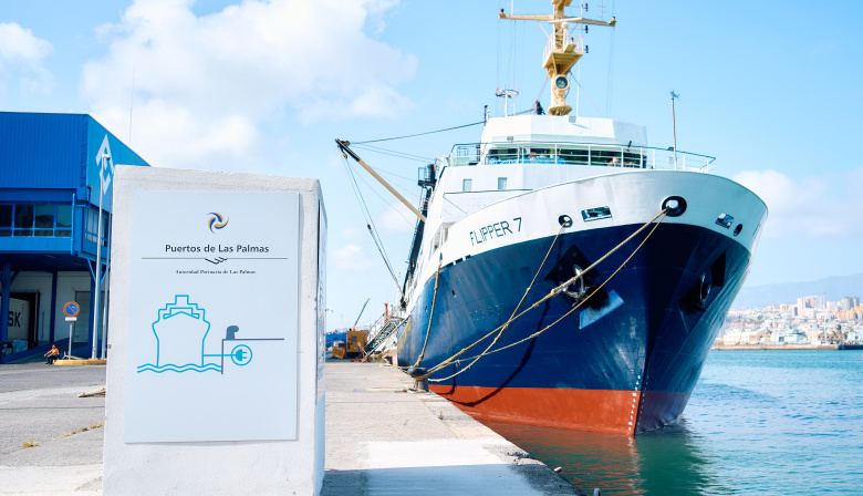 La Autoridad Portuaria de Las Palmas se suma a la Estrategia Marítima de España con la electrificación del Muelle Grande