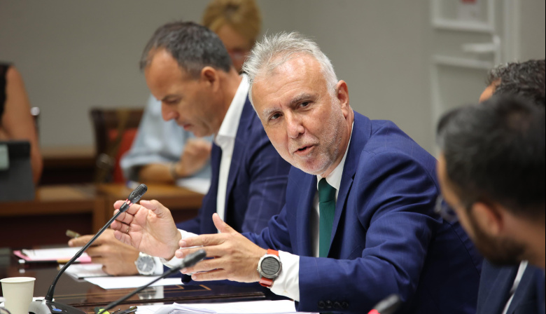 Torres desmiente en su comparecencia las acusaciones sobre contratos en la pandemia