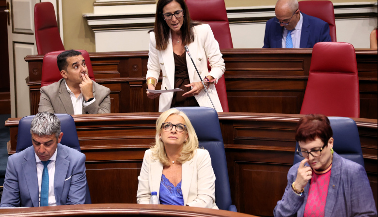 Natalia Santana exige hechos concretos al Gobierno canario para frenar la violencia vicaria