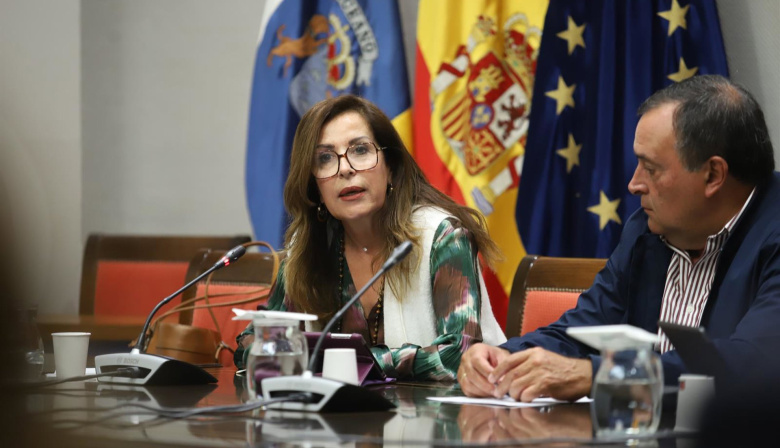Diputación del Común afea la falta de transparencia en discapacidad: "La lista de espera es un agujero negro"