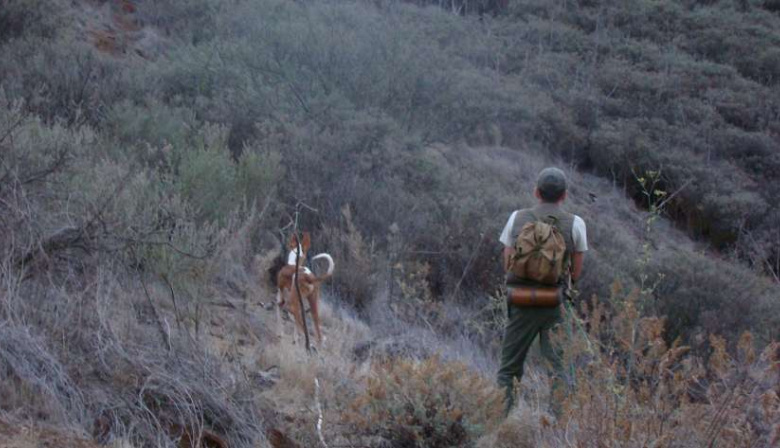 La Gomera establece el calendario de caza con escopeta a partir del 21 de septiembre