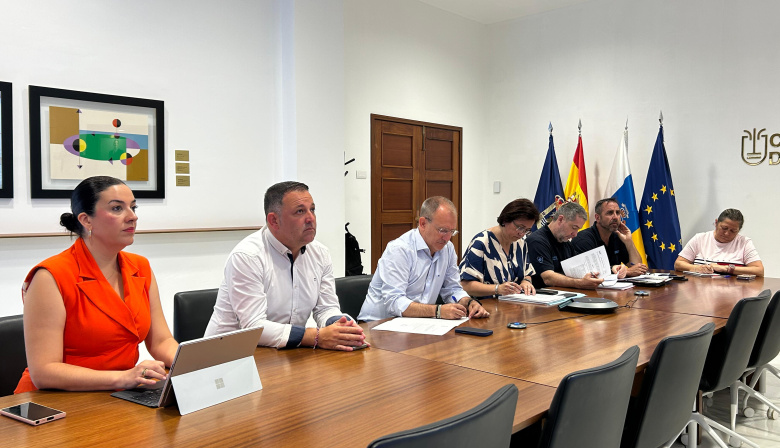 El Cabildo de La Palma autoriza el acceso a 19 viviendas, tres garajes y un local en Puerto Naos