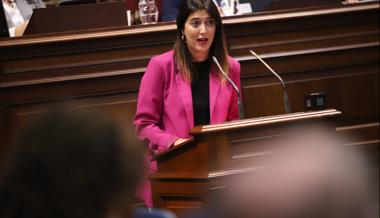 El PSOE reclama un nuevo dictamen al Consejo Consultivo ante el alcance de la reforma de los Consejos Sociales universitarios