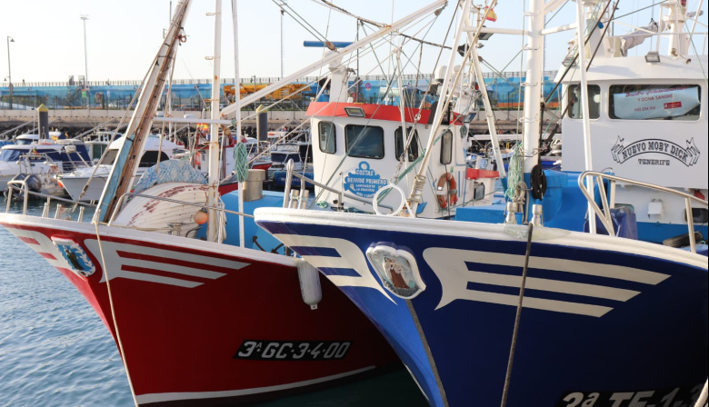 Convocadas ayudas FEMPA a la transformación y comercialización de productos de la pesca y la acuicultura por 4,9M€