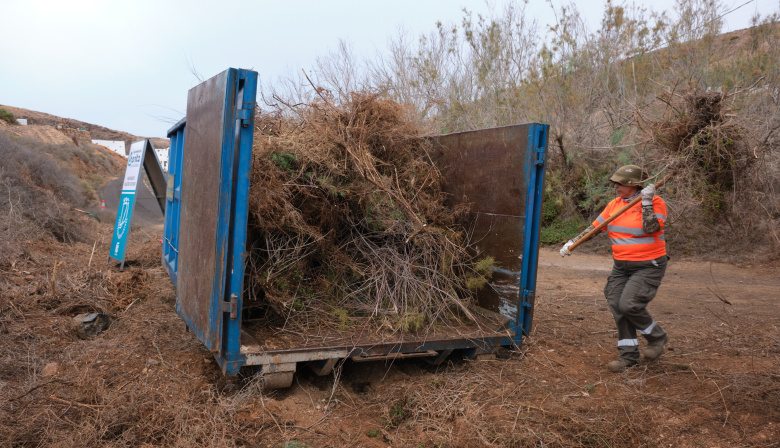 ‘Fuerteventura, bonita por naturaleza’ acondiciona los barrancos del municipio de Betancuria