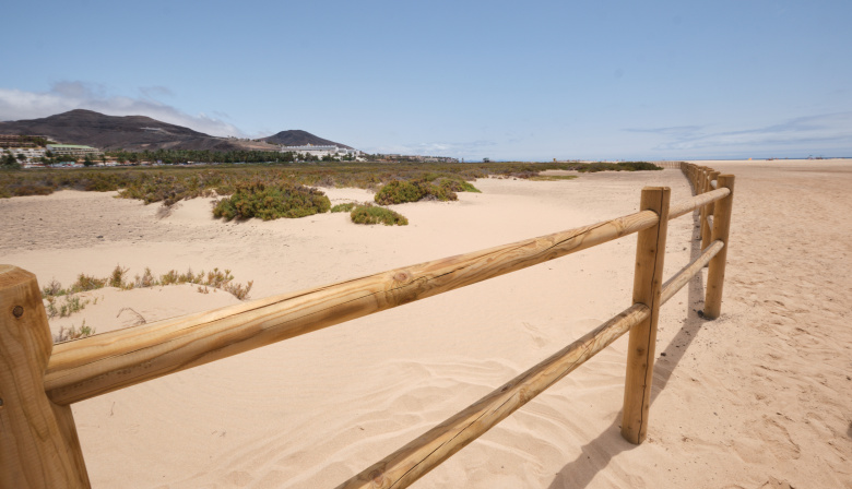 El Cabildo de Fuerteventura culmina la restauración de casi 1.000 metros de vallado para proteger el Saladar de Jandía