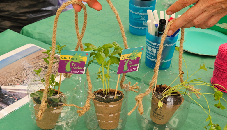 El Ayuntamiento de Las Palmas de Gran Canaria lanza un taller de plantas aromáticas y medicinales en El Pambaso