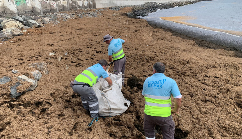 El Ayuntamiento de Las Palmas de Gran Canaria aprueba los pliegos para el contrato del servicio de limpieza y conservación esencial del litoral y las playas de la ciudad