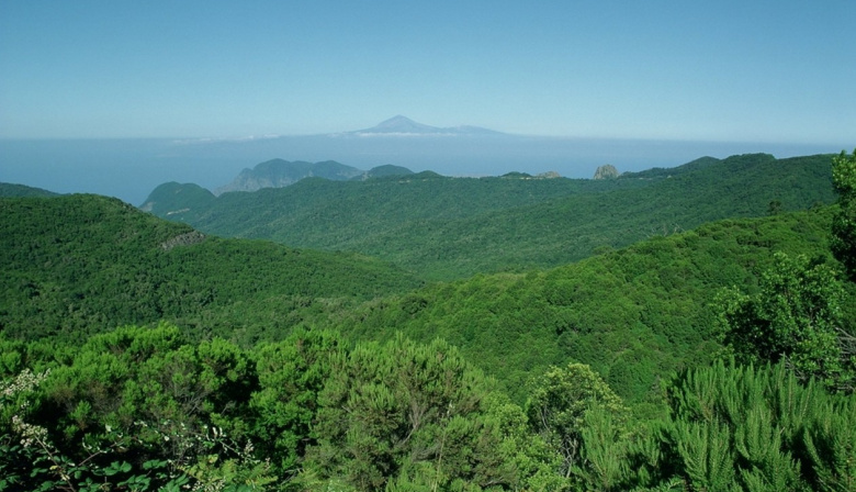 Canarias destina 587.800 euros a proyectos sostenibles de conservación de la biodiversidad en parques nacionales