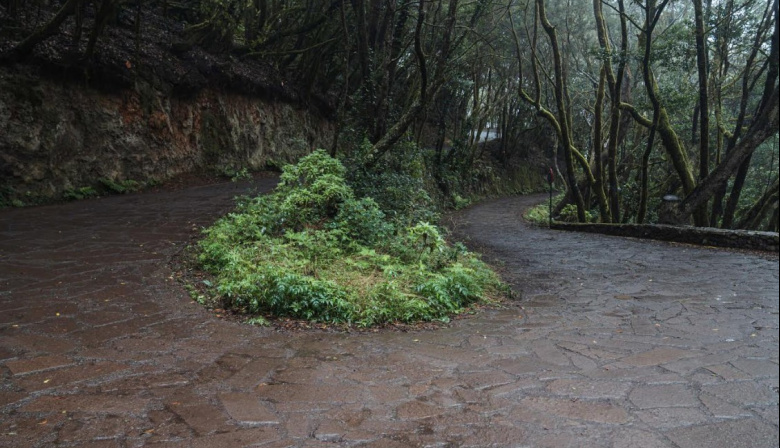 El Cabildo de La Gomera adjudica los trabajos de accesibilidad y mejora paisajística de Las Mimbreras con una inversión de 1,8 millones de euros