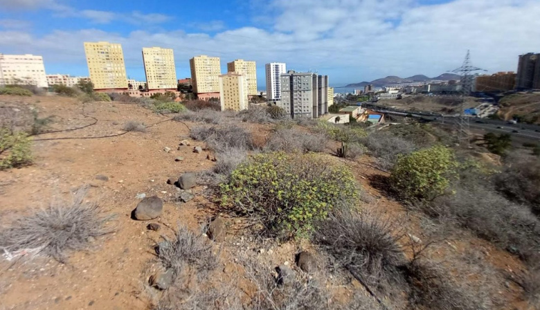 El Ayuntamiento de Las Palmas de Gran Canaria licita la renaturalización del Barranco de La Ballena dentro del Corredor Verde