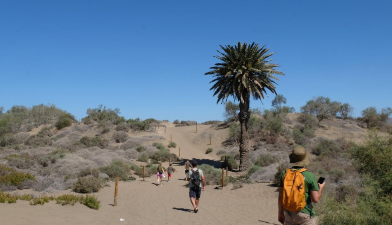 ImpulsaMaspalomas creará material audiovisual divulgativo sobre la Reserva Natural de las Dunas de Maspalomas