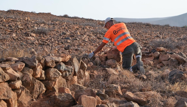 El Cabildo de Fuerteventura inicia la rehabilitación sostenible de más de 211.000 m2 de paisaje tradicional entre Agua de Bueyes y Tiscamanita