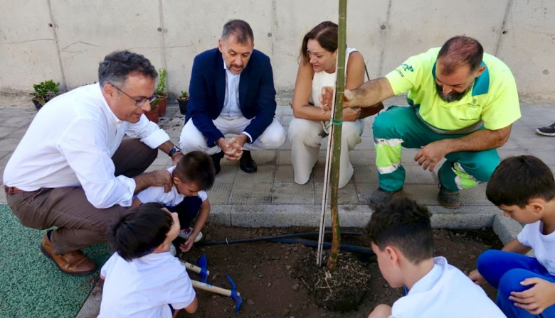 Santa Cruz disfruta ya de un nuevo corredor verde en la calle Pío Baroja de Salud-La Salle     La transformación de la vía que discurre entre la avenida Benito Pérez Armas y la calle Gavinet, finalizó con la plantación de 28 árboles del Vivero Municipal, 