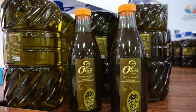 La almazara del Cabildo de Fuerteventura procesa más de 70.000 kilogramos de aceituna